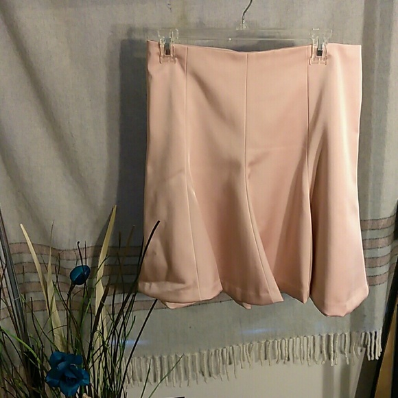 Ann Taylor Dresses & Skirts - Women's Ann Taylor Skirt